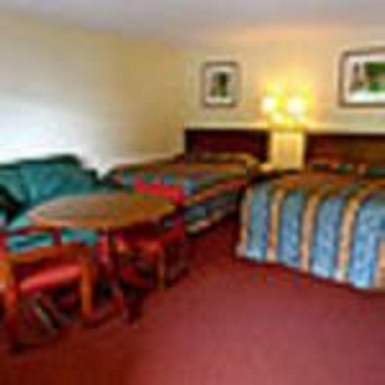 The Whispering Pines Motel- Whitestone White Stone Eksteriør billede
