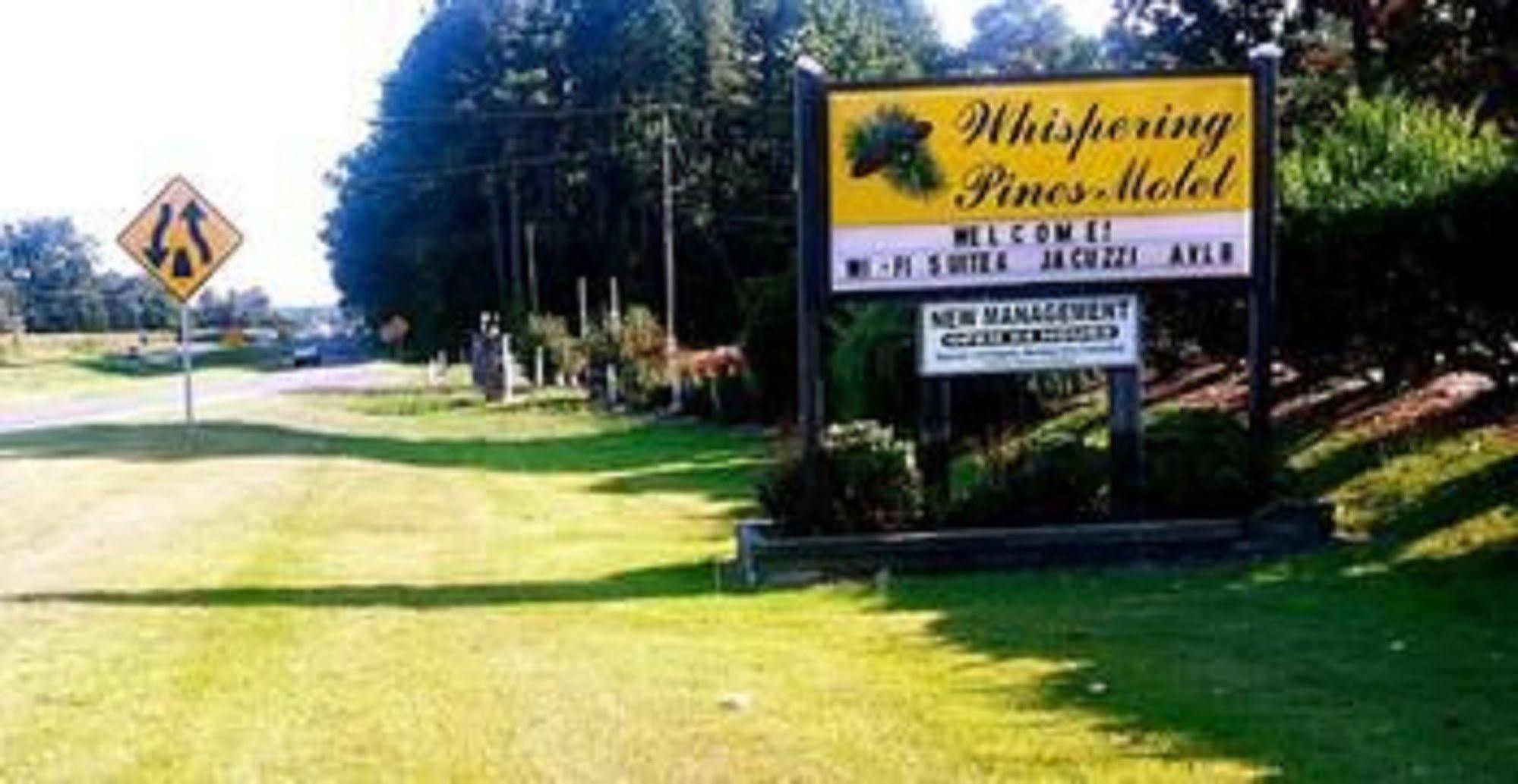 The Whispering Pines Motel- Whitestone White Stone Eksteriør billede